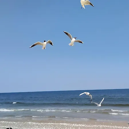 Ostseeoase Zinnowitz